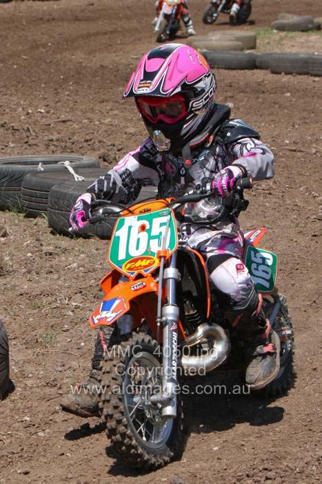 445x677 pixels (82K)